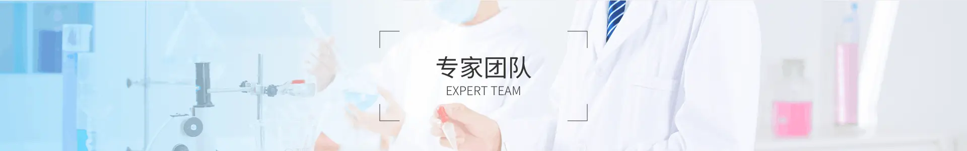 专家团队