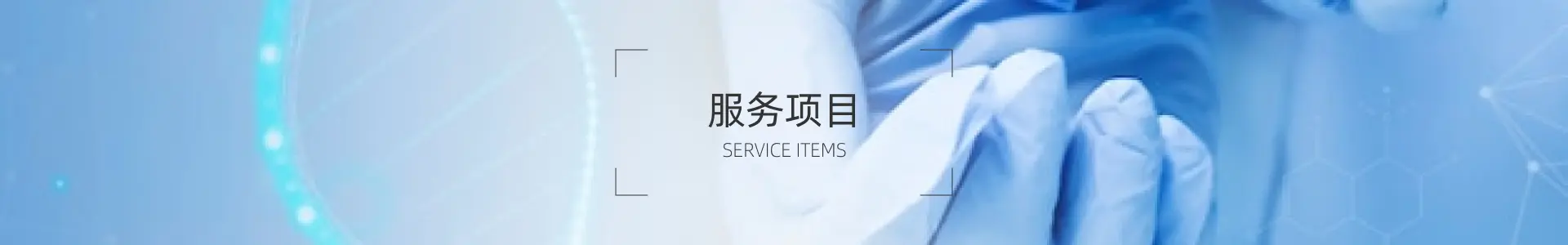 服务项目